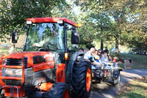 Harvest Moon Hay Ride