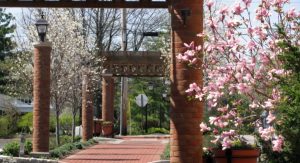 Parrott Alley in Spring