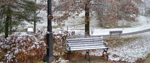 Lamp And Bench During Winter