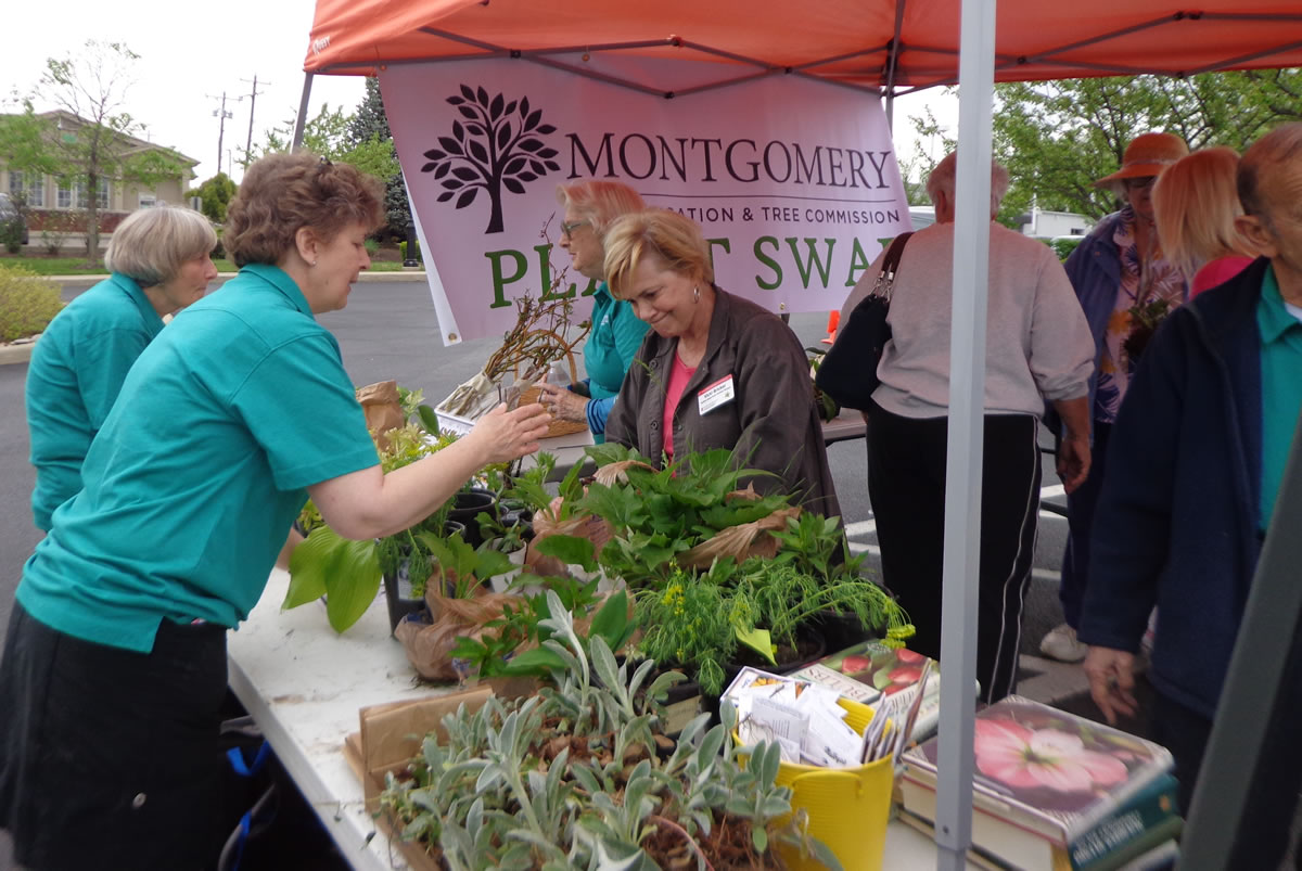 Spring Plant Swap