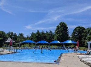 Pool Shade Structures