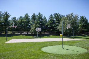 Pool basketball court