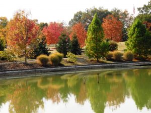 todd pond reflects fall