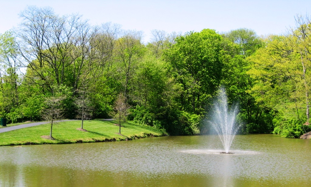 Pioneer Pond Fountain