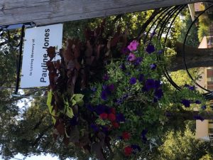 Flower Baskets