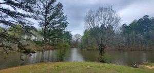 Valentine Park Lake