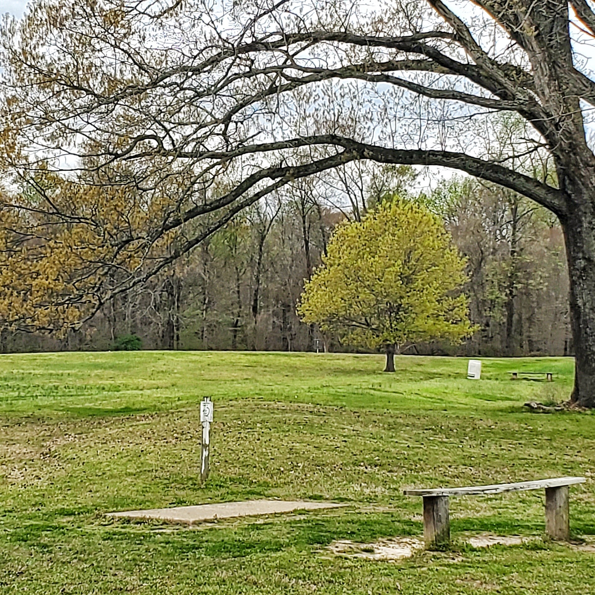 Disc Golf