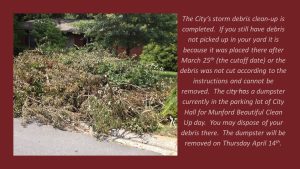 yard debris feb 2022 completed