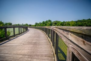 foot bridge