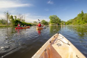 kayak paddling