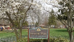 Shafor Park