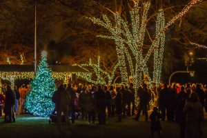 Tree Lighting