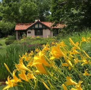 Smith Gardens Summer 2020