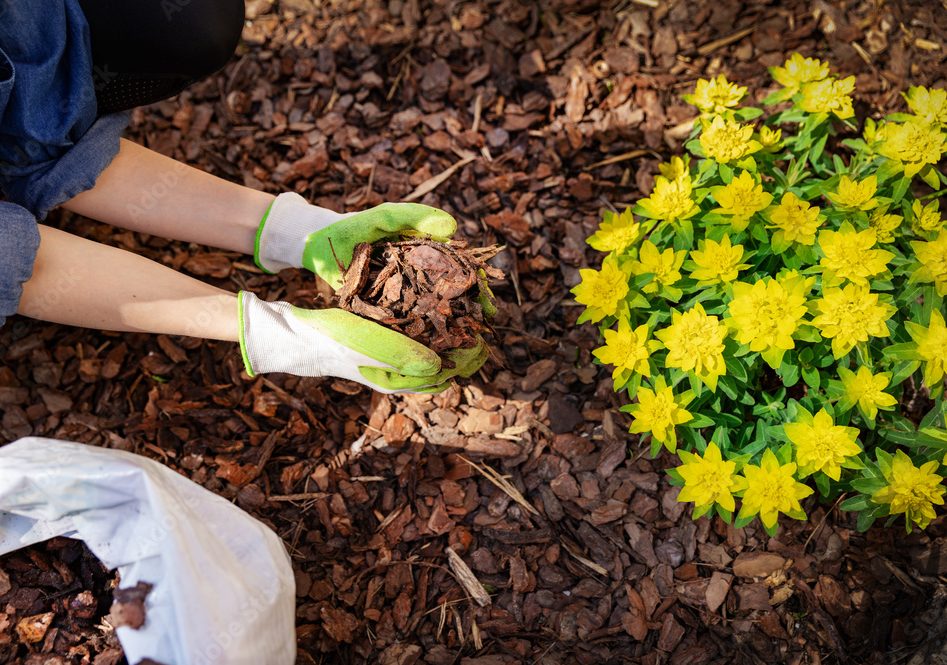 Mulch