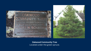 Community Tree