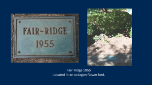 Fair Ridge