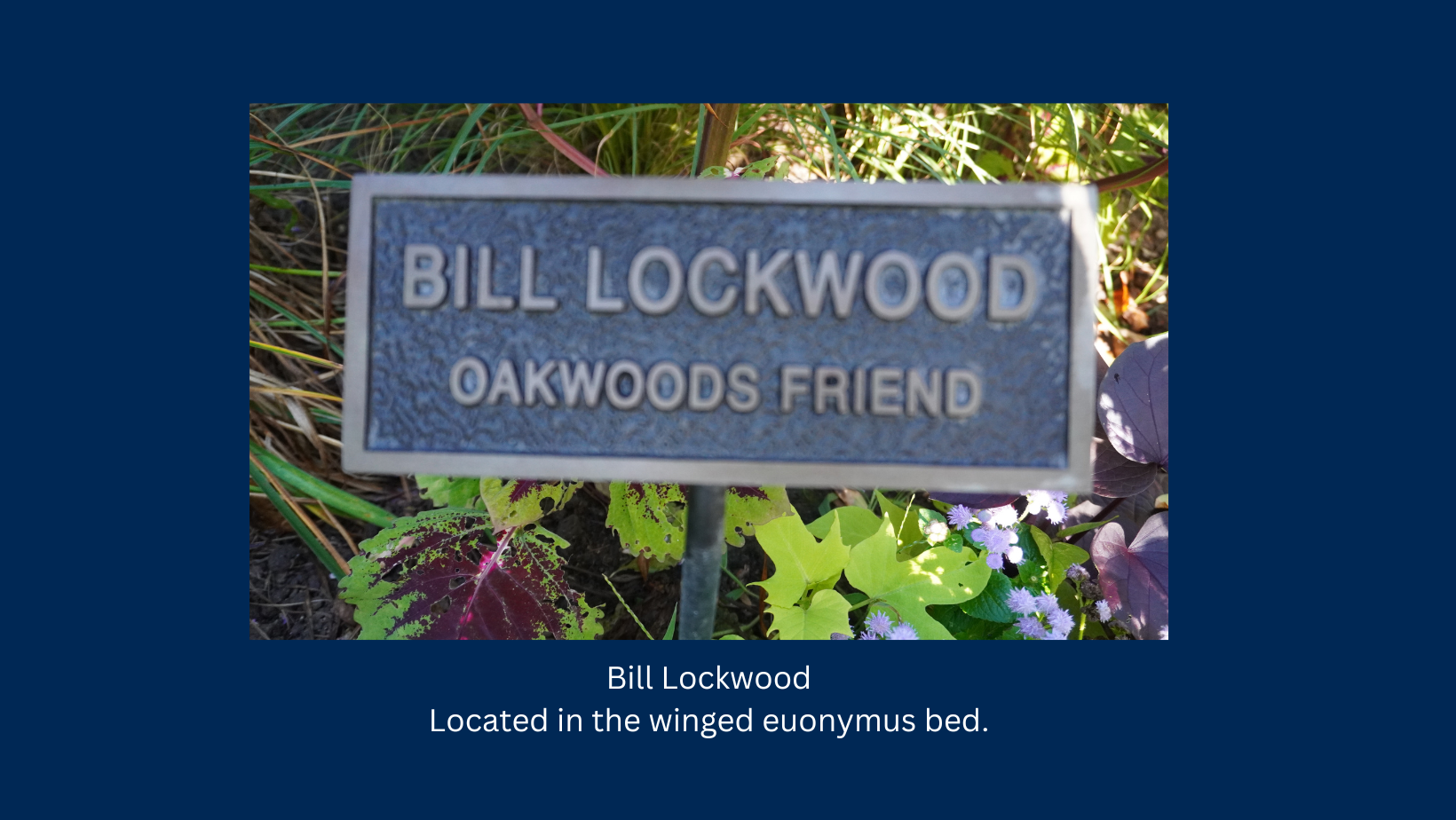 Lockwood