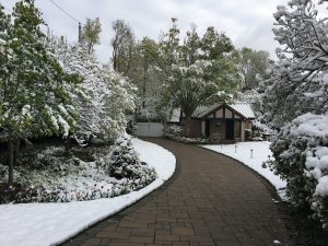 Smith Gardens Snow