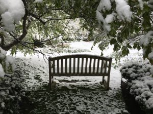 SG Winter Bench