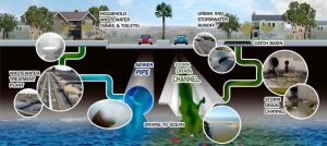 sewer vs stormwater