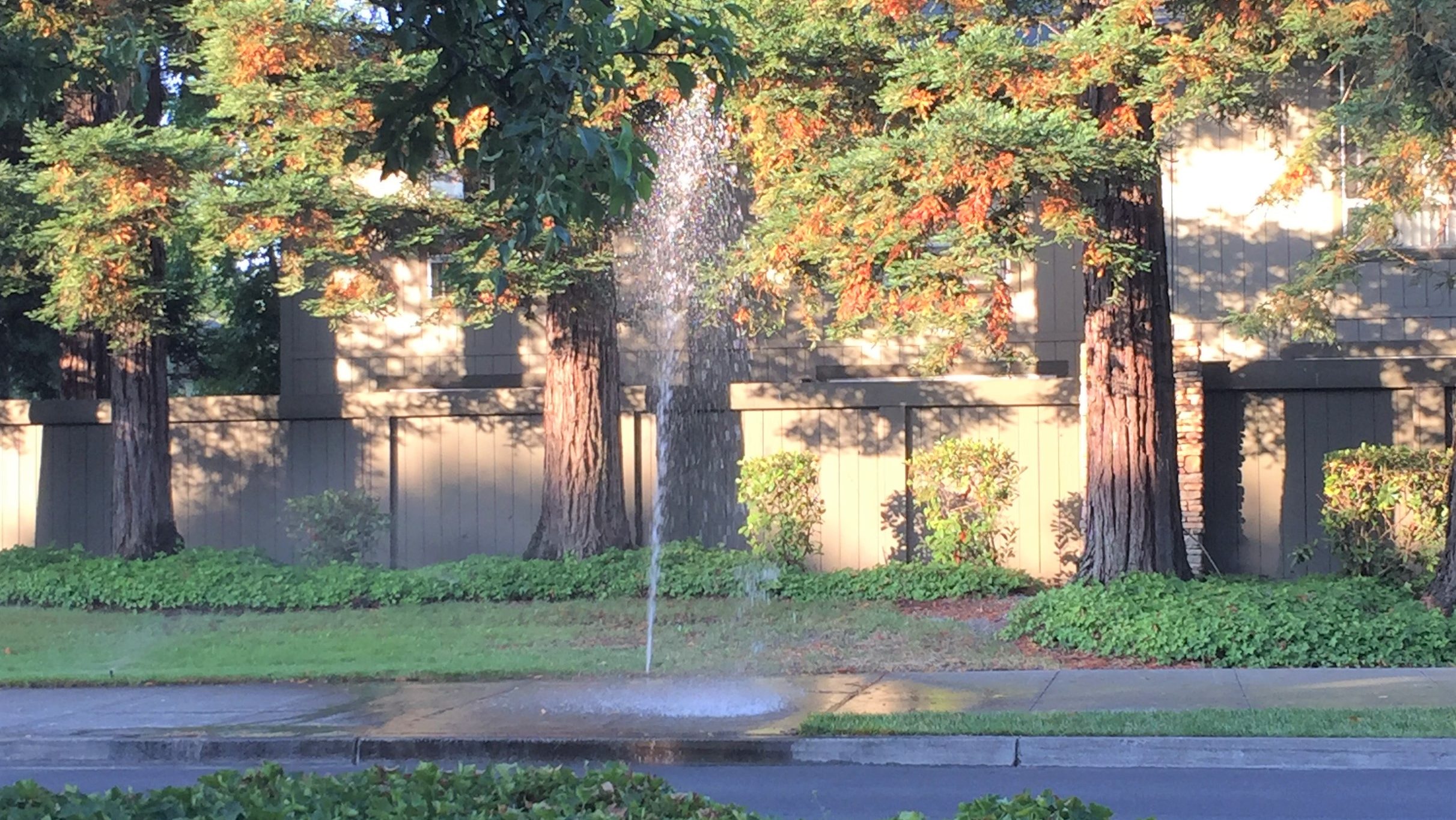 Broken sprinkler Broken sprinkler
