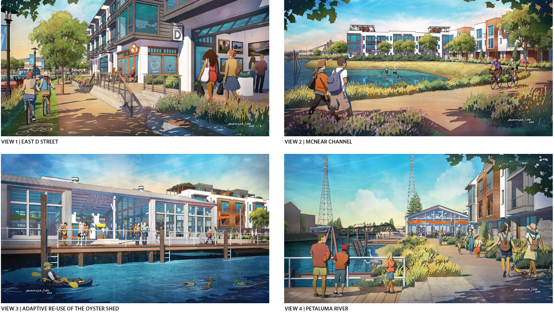 oyster cove concept perspectives