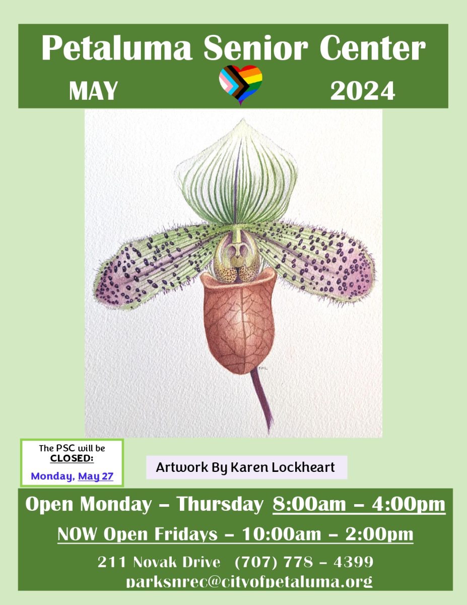 A Petaluma Senior Center flyer from May 2024 with open hours and a drawing of a jack-in-the-pulpit.