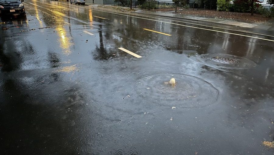 water bubbling up from a manhole cover flooding the road