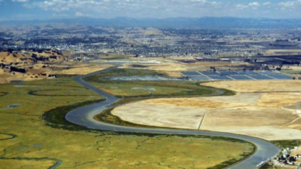 Photograph of the Petaluma River