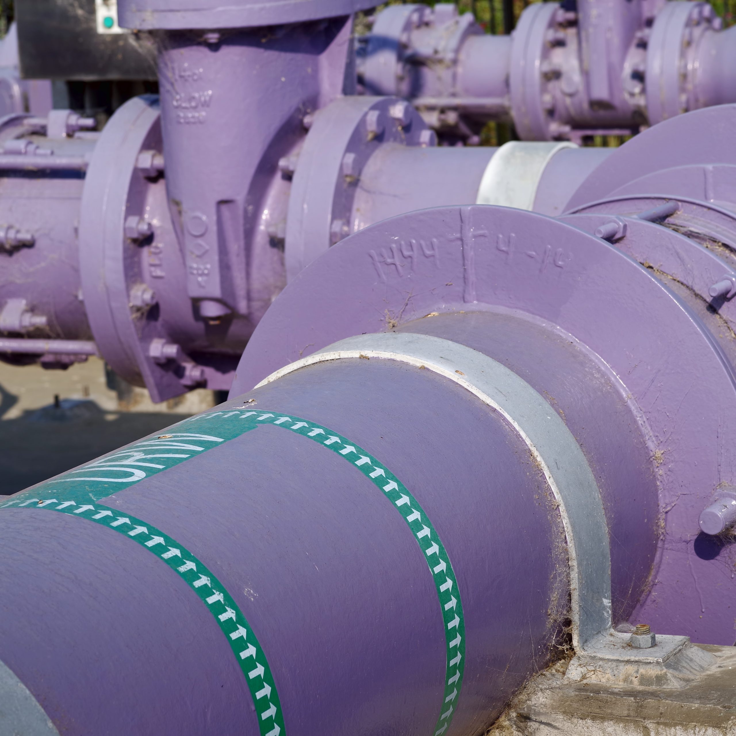 purple recycled water pipes