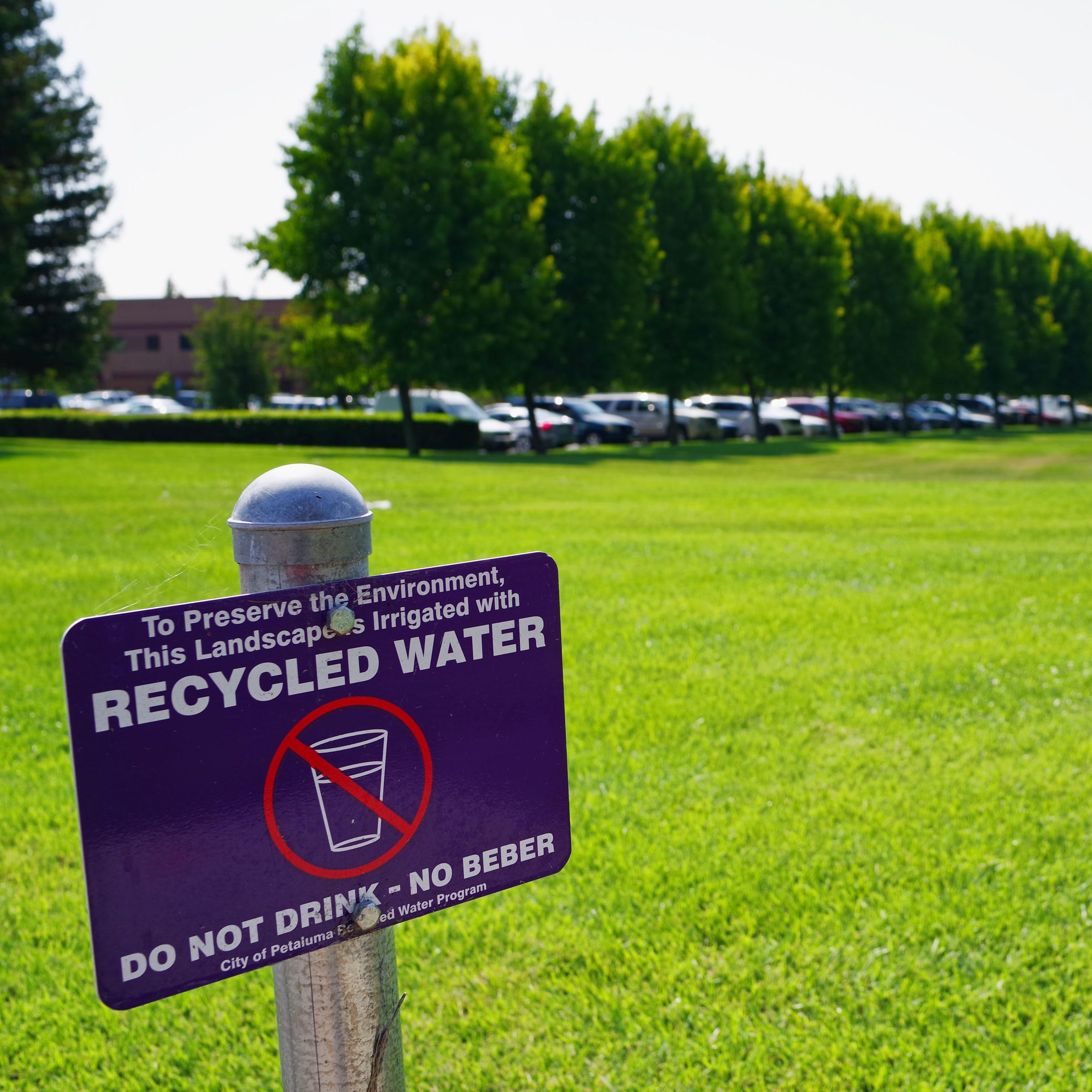 Recycled Water sign on lawn at Kaiser Park