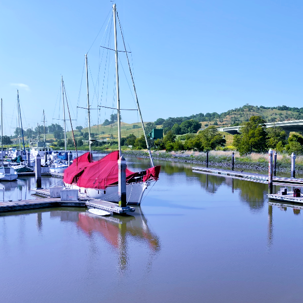 Image of sailboats in the Petaluma Marina