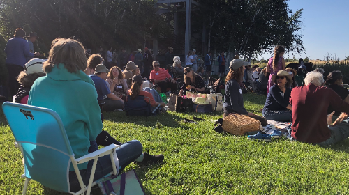 cool petaluma potluck