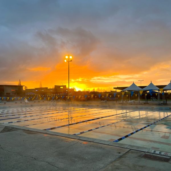 Swimming Pool at Dawn