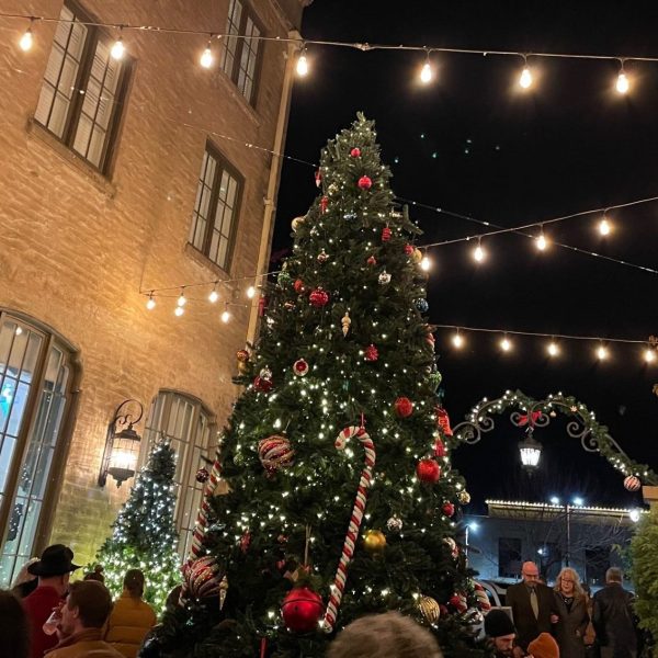 A Christmas Tree stands in the center of the Hotel Petaluma courtyard at night with string lights above