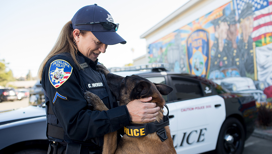 photo of canine unit with officer