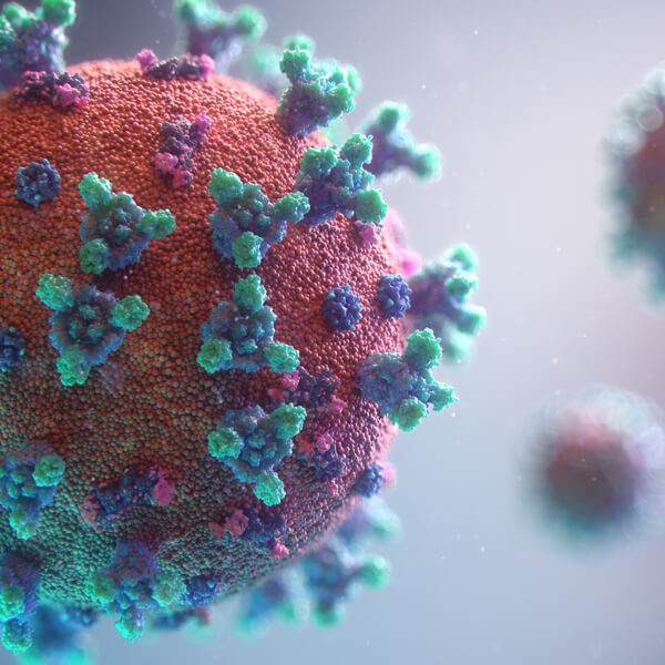 Image of coronavirus