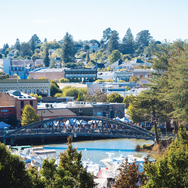 image of petaluma bridge