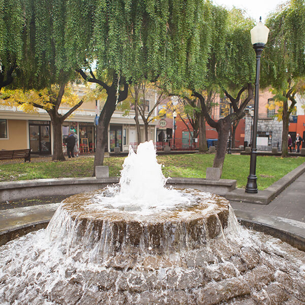 petaluma-fountain-sq