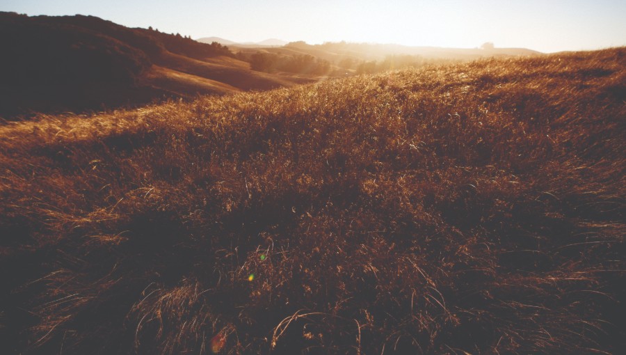 photo of dried hillside