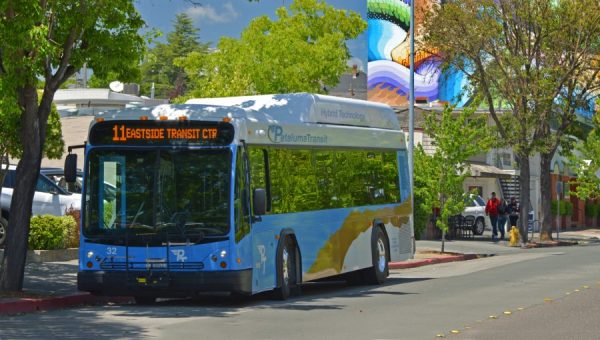 photo of petaluma transit bus