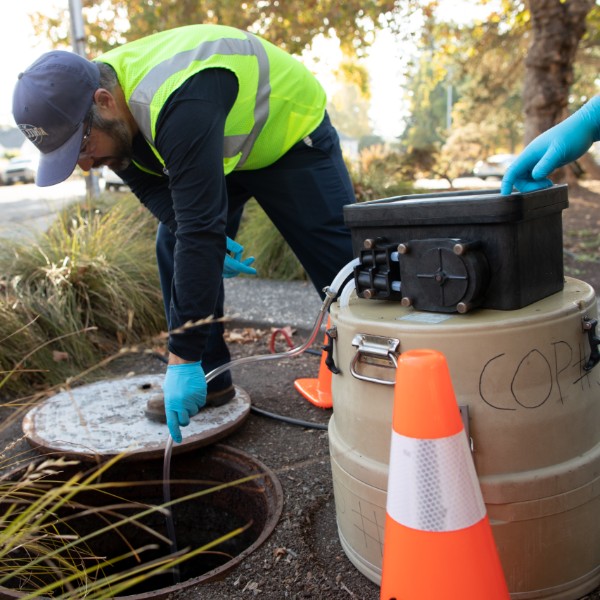 photo of sewer inspection