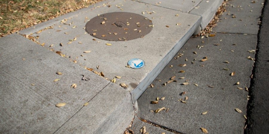 photo of drains to creek curbside