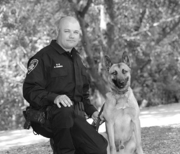 Officer Al Farinha and Jimmy police canine team