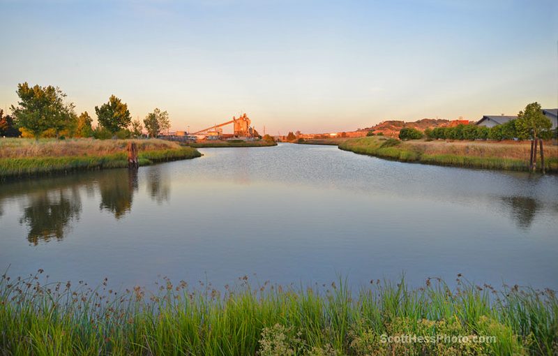 caulfield by scott hess petaluma river