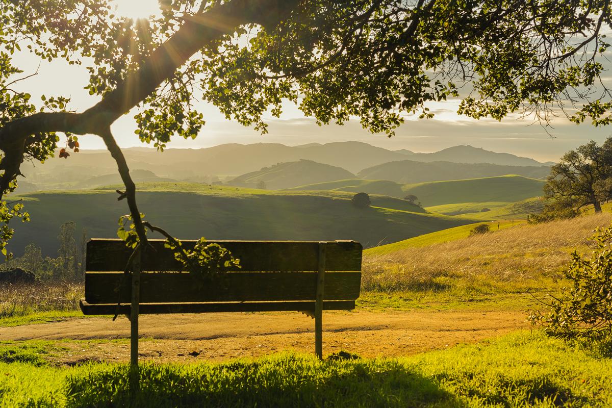 helen putnam bench