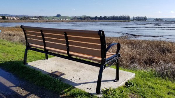 park bench shollenberger