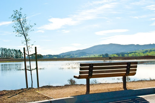 Image of a park bench in front of a body of water