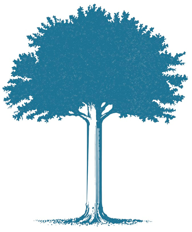 Drawing of a tree