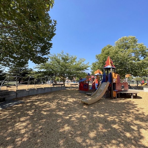 leghorns playground trees